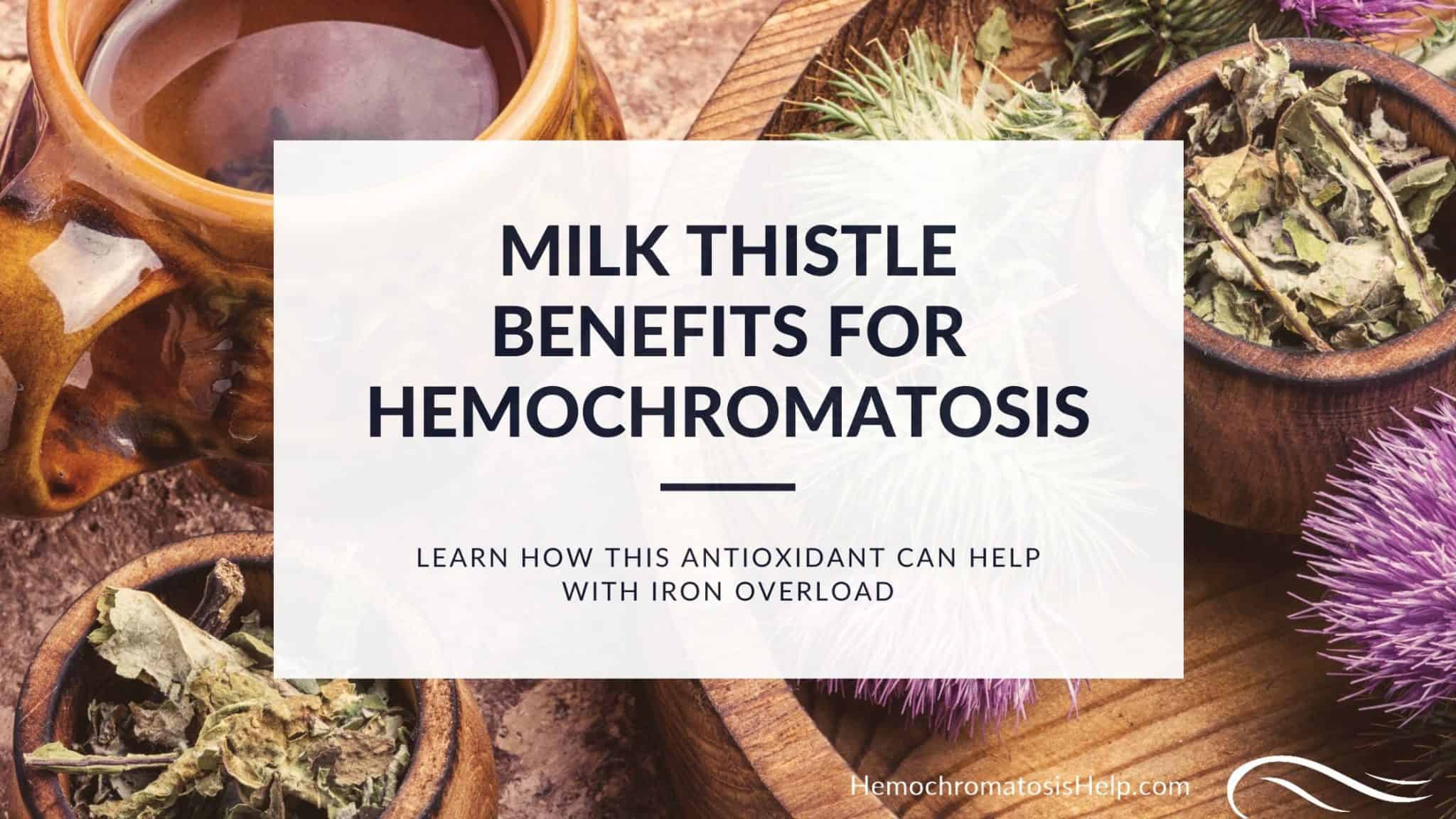 Milk Thistle Benefit in Iron Overload Hemochromatosis Help