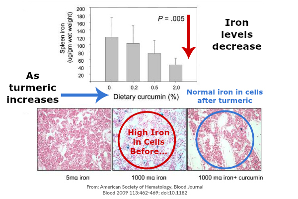 Turmeric Effect on Iron Absorption