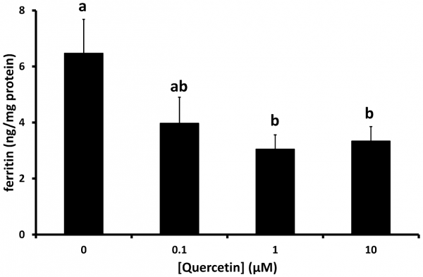 Quercetin and Iron Absorption Figure from Scientific Study